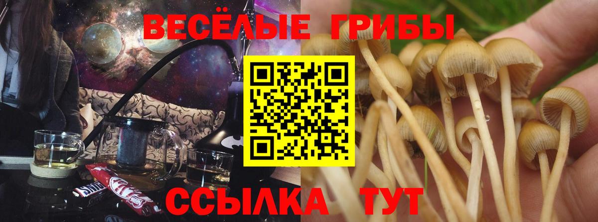 Галлюциногенные грибы прущие грибы  Вход с VPN  Черкесск  Псилоцибиновые грибы мухоморы 